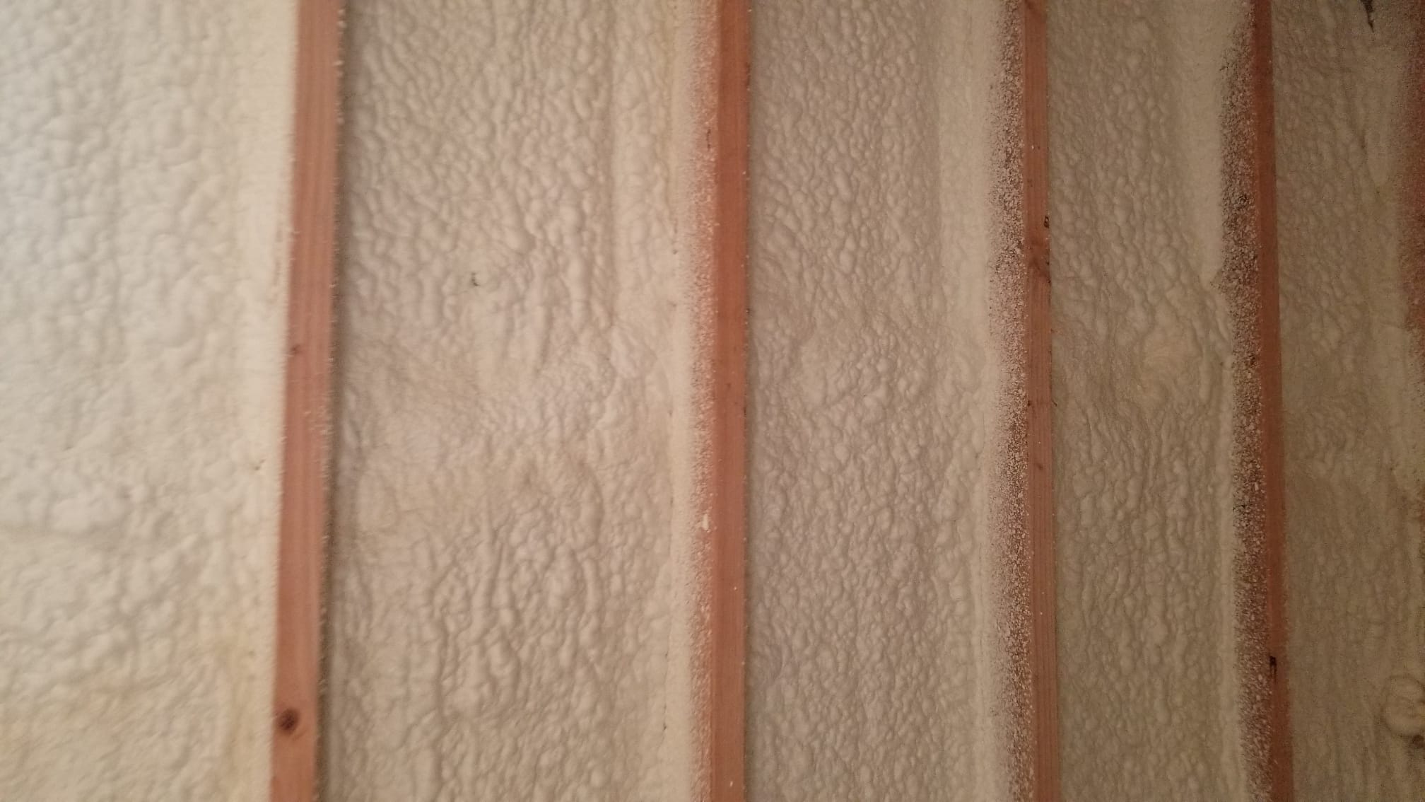 Close-up of cured spray foam filling the bays between wood studs